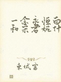 一念永恒白小纯和宋君婉什么时候在一起的