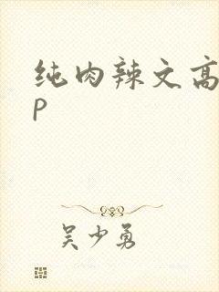 纯肉辣文高hnp