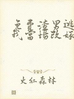 免费渣男逃婚,我当场改嫁了小说