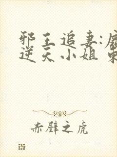 邪王追妻:废材逆天小姐 东泽长宫主*