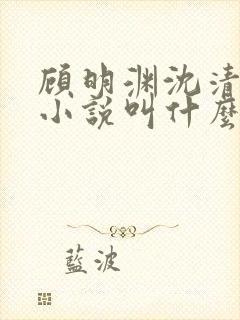 顾明渊沈清烟的小说叫什么名字