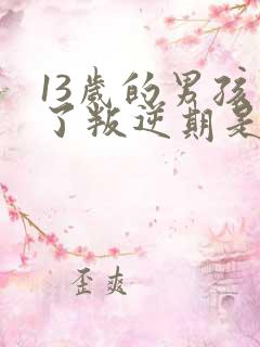 13岁的男孩到了叛逆期是怎么教