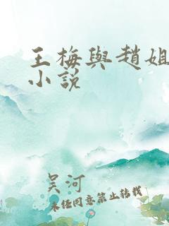 王梅与赵姐陪读小说