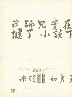 我师兄实在太稳健了 小说下载txt