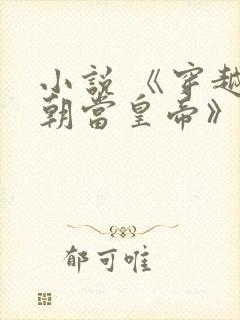 小说 《穿越明朝当皇帝》