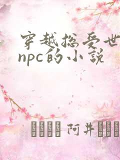 穿越总受世界当npc的小说