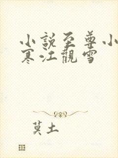 小说至尊小农民寒江观雪