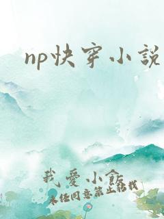 np快穿小说h