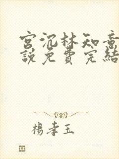 宫沉林知意的小说免费完结