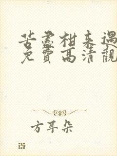 苦尽柑来遇见你免费高清观看