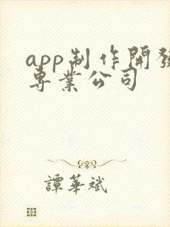 app制作开发专业公司
