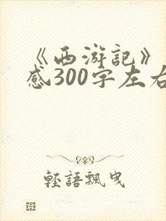 《西游记》读后感300字左右