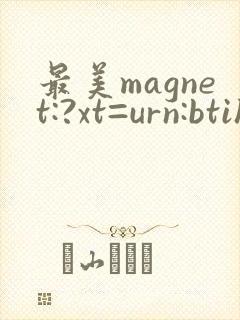 最美magnet:?xt=urn:btih
