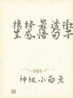 杨绛最透彻的人生感悟句子