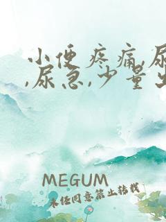小便疼痛,尿频,尿急,少量出血