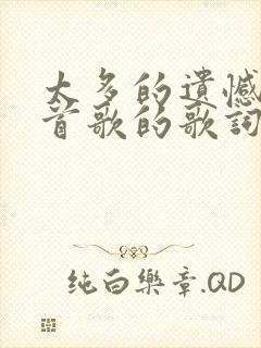 太多的遗憾是哪首歌的歌词