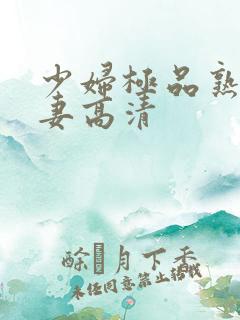 少妇极品熟妇人妻高清