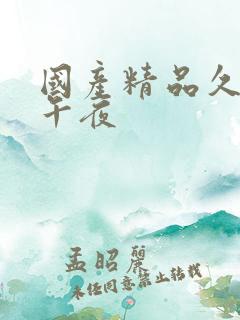 国产精品久久久午夜