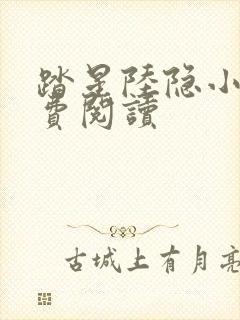 踏星陆隐小说免费阅读