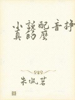小说配音挣钱是真的么