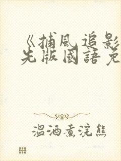 《捕风追影》抢先版国语免费观看