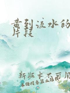 黄到流水的小说片段
