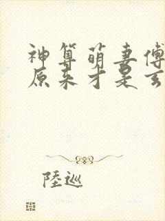 神算萌妻傅太太原来才是玄学真大佬小说