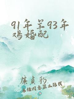 91年羊93年鸡婚配