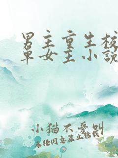 男主重生校园的单女主小说