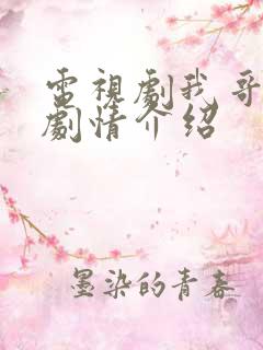 电视剧我哥我嫂剧情介绍