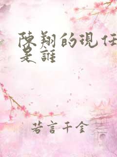 陈翔的现任妻子是谁