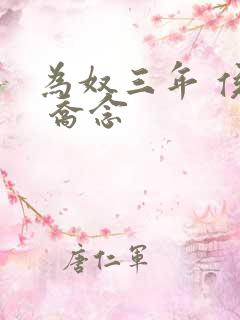 为奴三年 侯府 乔念