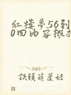 红楼梦56到60回内容概括