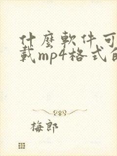 什么软件可以下载mp4格式的视频