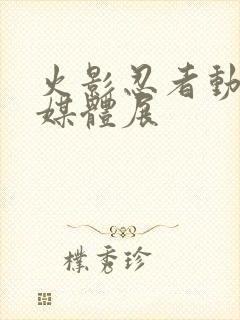 火影忍者动画多媒体展