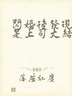 闪婚后发现老公是上司大结局