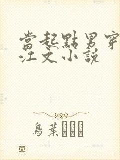 当起点男穿到晋江文小说