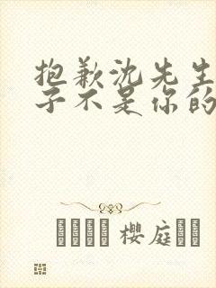 抱歉沈先生这孩子不是你的短剧全集