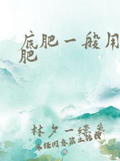 底肥一般用什么肥