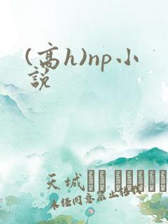 (高h)np小说