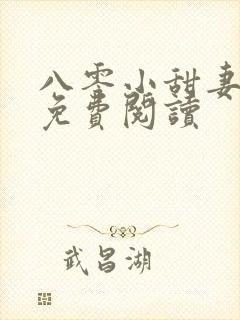 八零小甜妻全文免费阅读