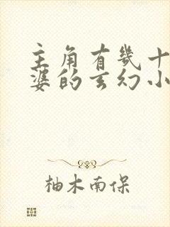 主角有几十个老婆的玄幻小说