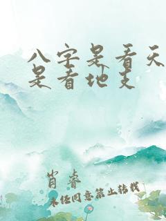 八字是看天干还是看地支