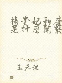 杨贵妃和唐玄宗是什么关系