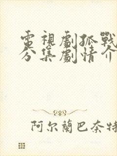 电视剧孤战迷城分集剧情介绍