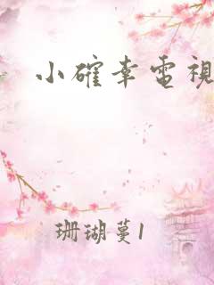 小确幸电视剧