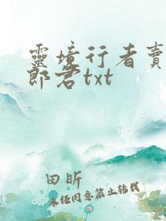 灵境行者卖报小郎君txt