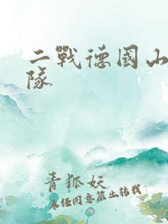 二战德国山地部队
