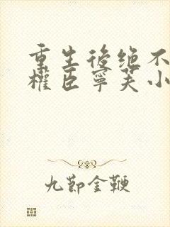 重生后绝不嫁给权臣宁芙小说