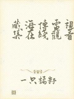 藏海传电视剧全集在线观看免费版